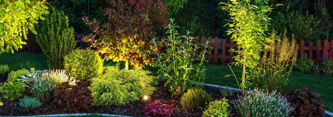 Jardin