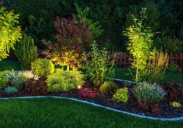 Jardin